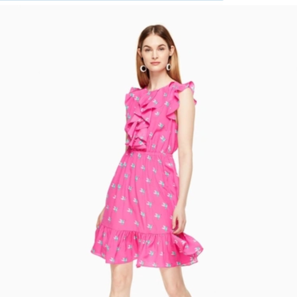 Kate Spade silk hummingbird dress size 2 hot pink